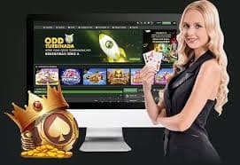 n19bet login